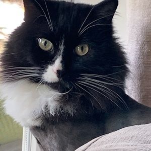 Meet your Posher, Tracy